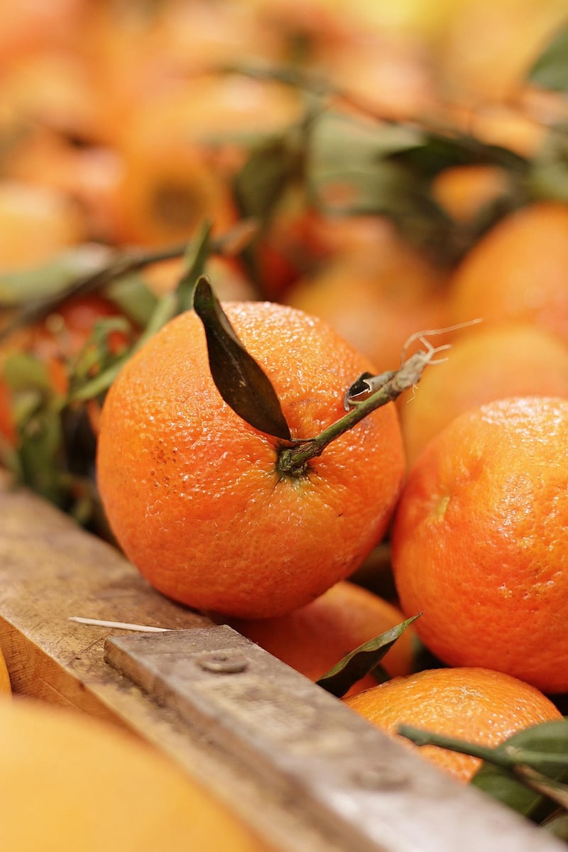 Citrus Sprayer